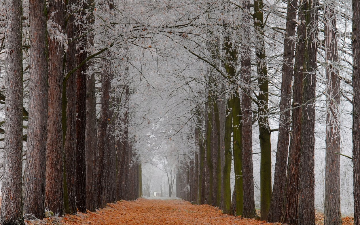 Поздняя осень