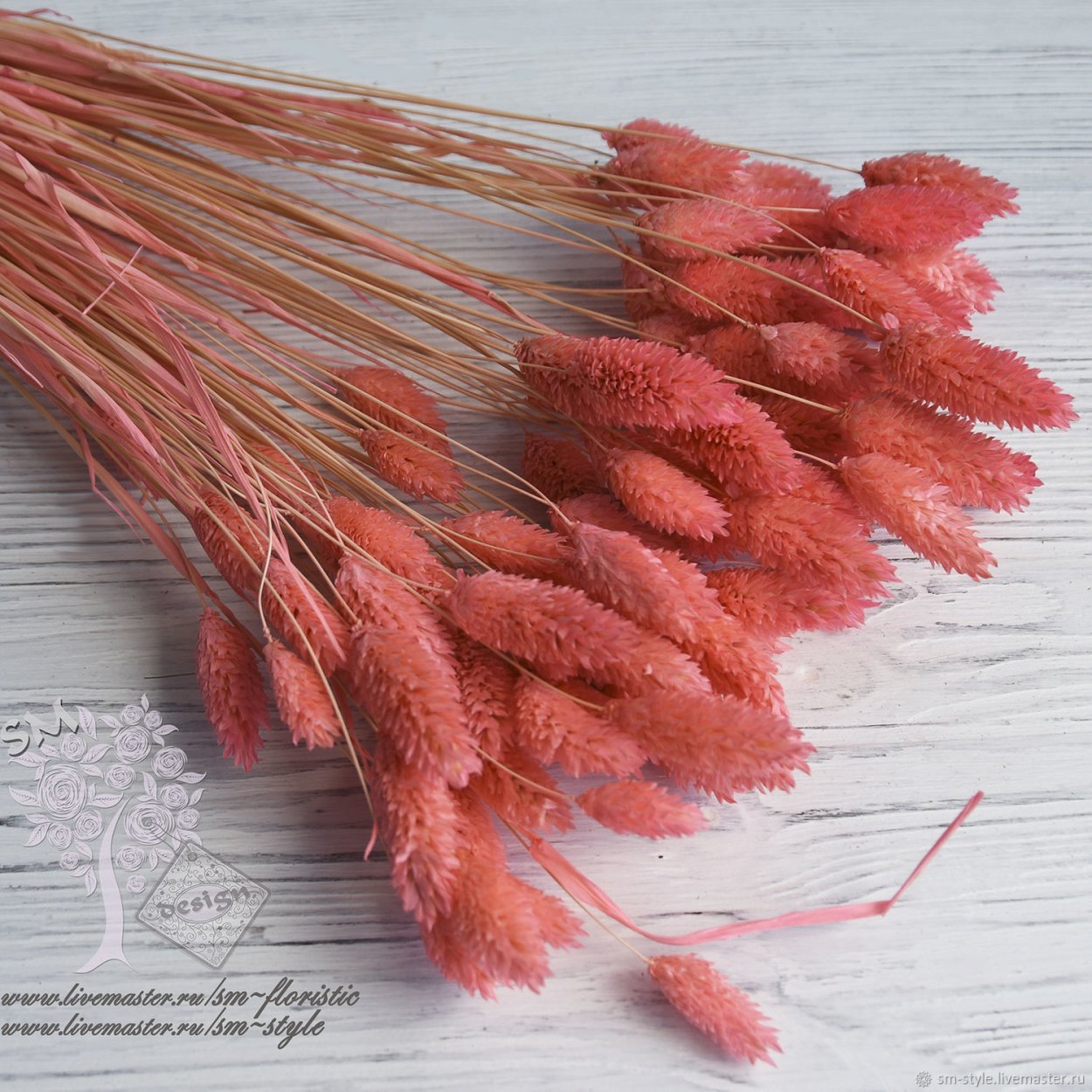 Чертополох cухоцвет