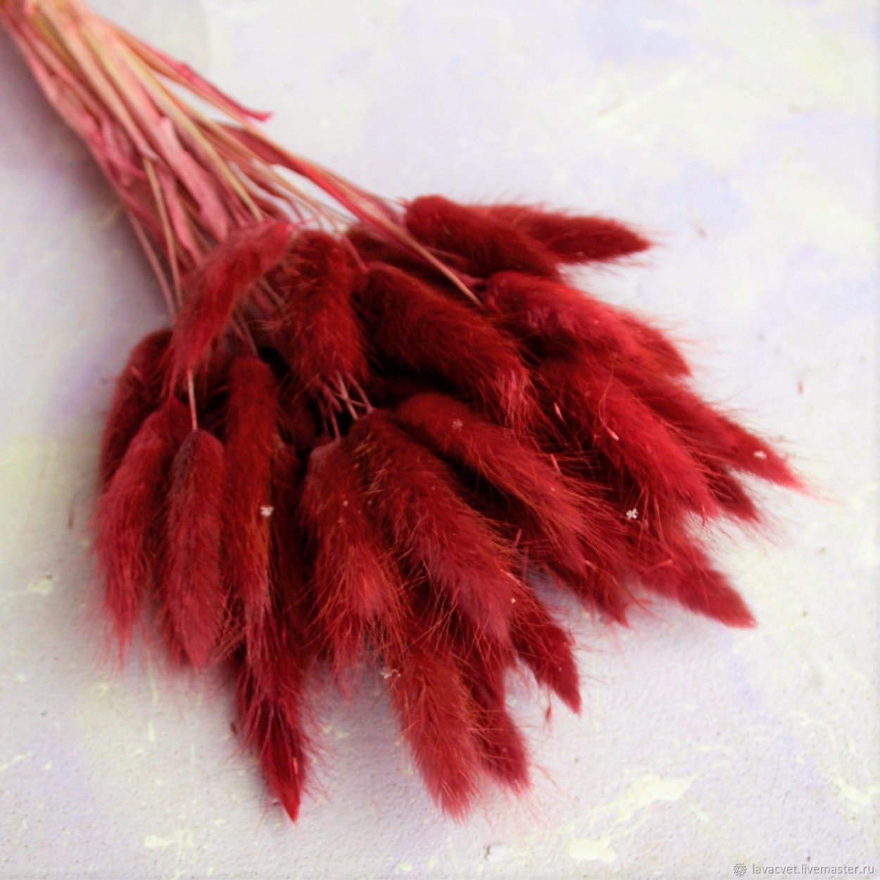 Красные цветы сухоцветы