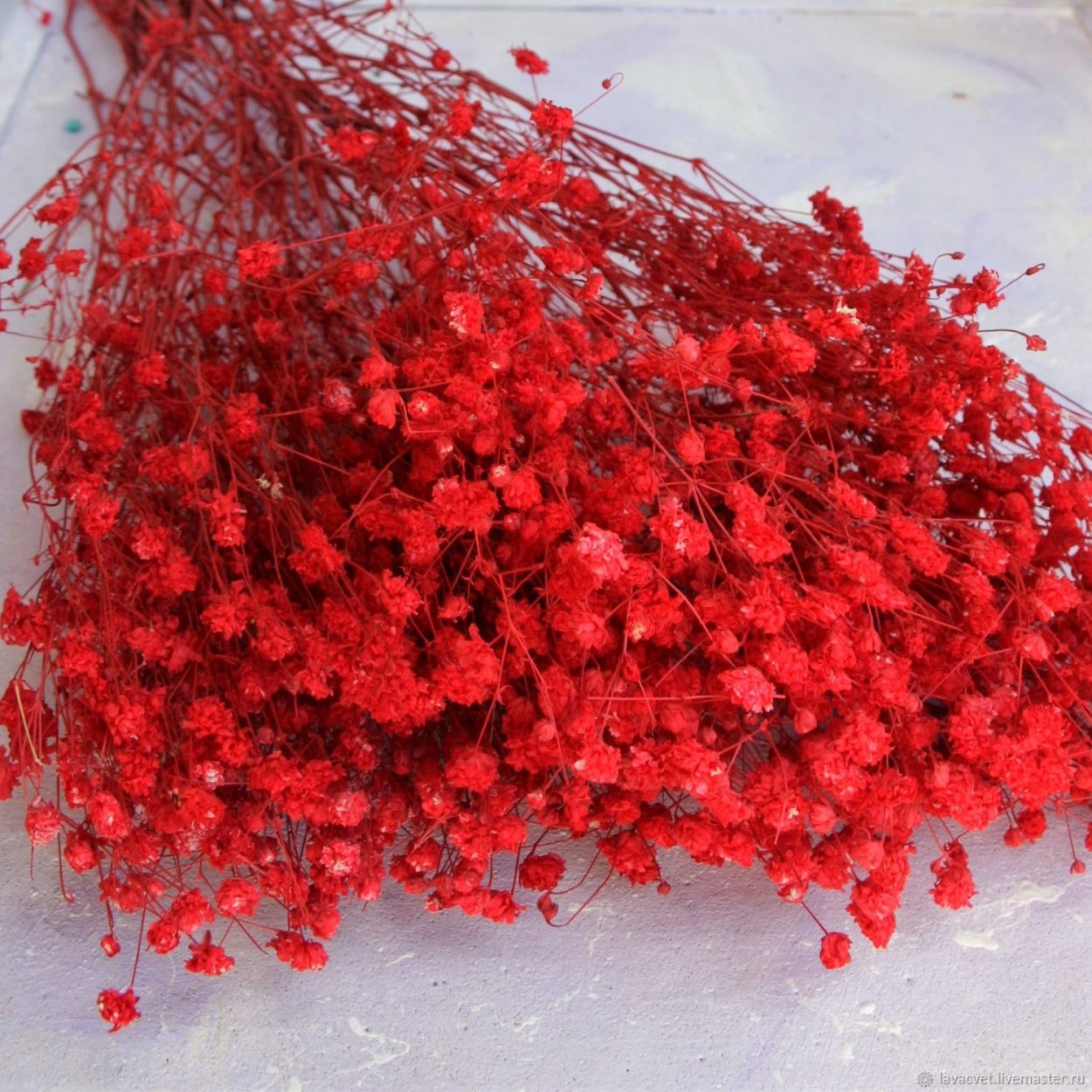 Сухоцветы Казань