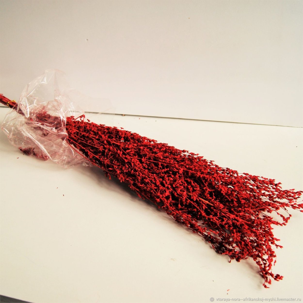 Фаларис сухоцвет букет