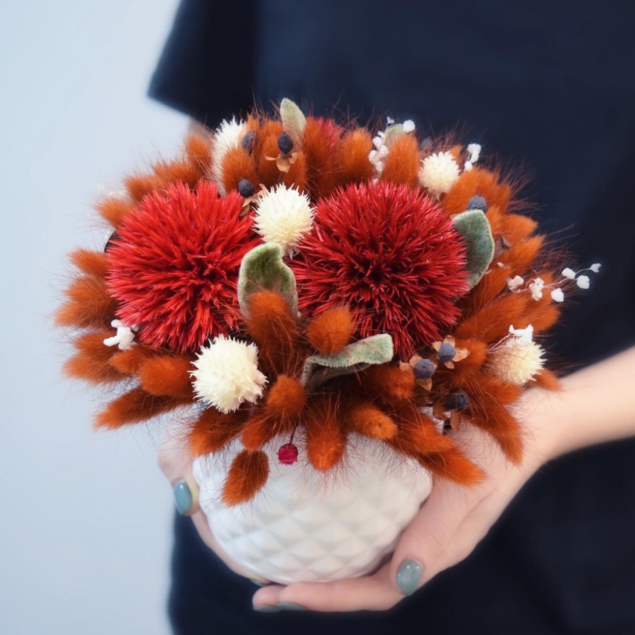 Кровохлебка сухоцвет