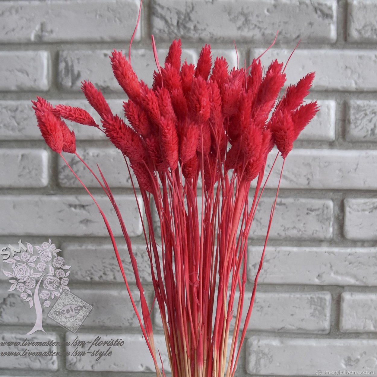 Хилл Флауэр сухоцвет