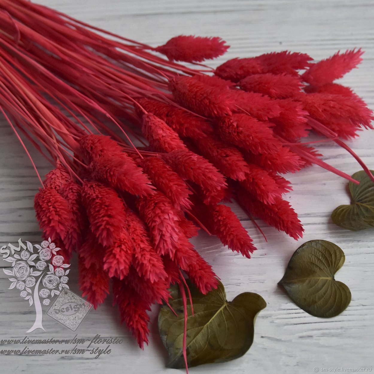 Гипсофила сушеная