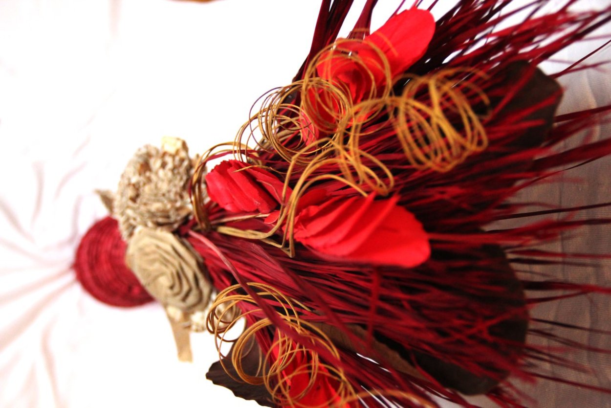 Растения Эстетика