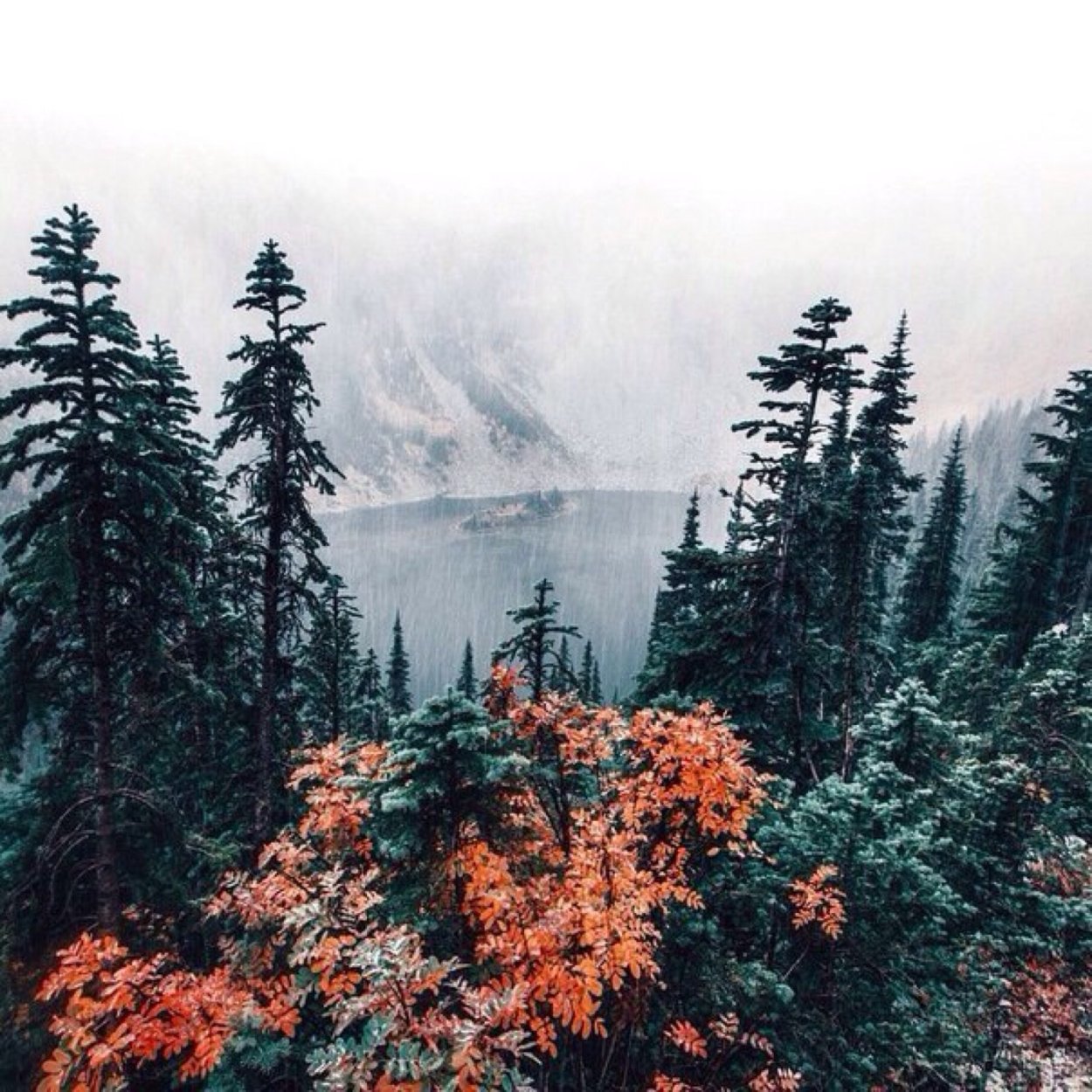 Туманный Шварцвальд