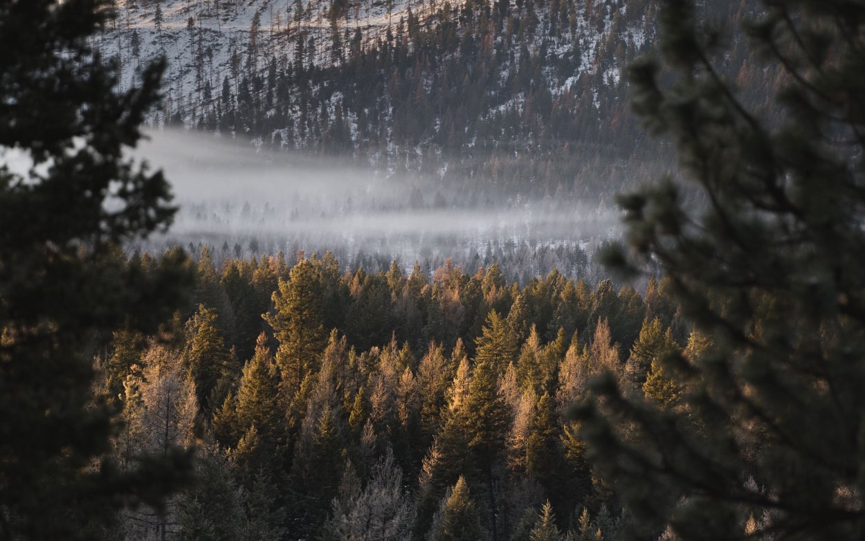 Эстетика природы горы