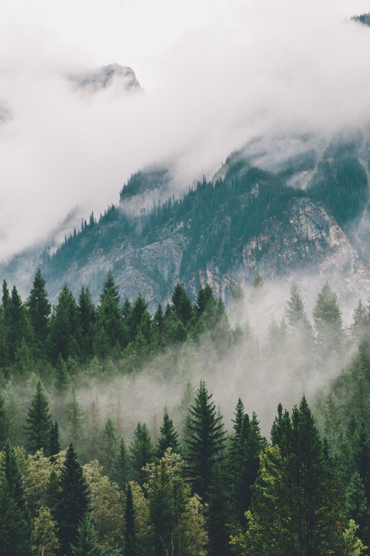 Современная Лесная Хижина Норвегия