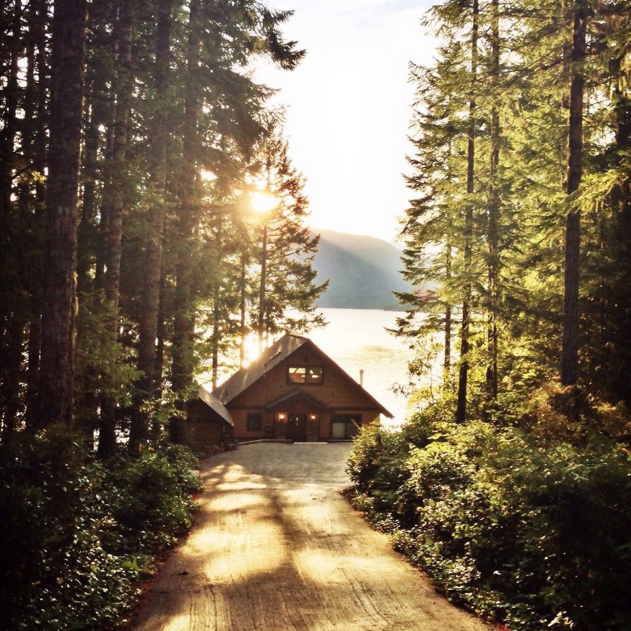 Суровый пейзаж