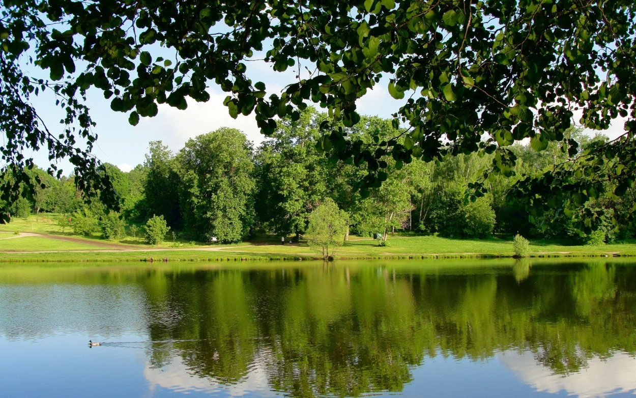 Красивые водоемы