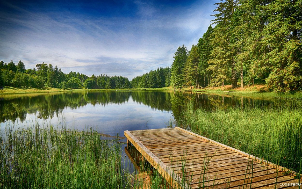 Летний пейзаж