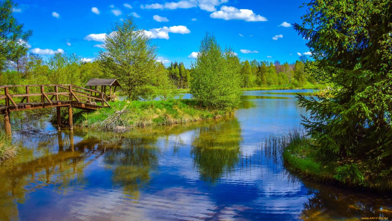 Лесное озеро Пензенская область