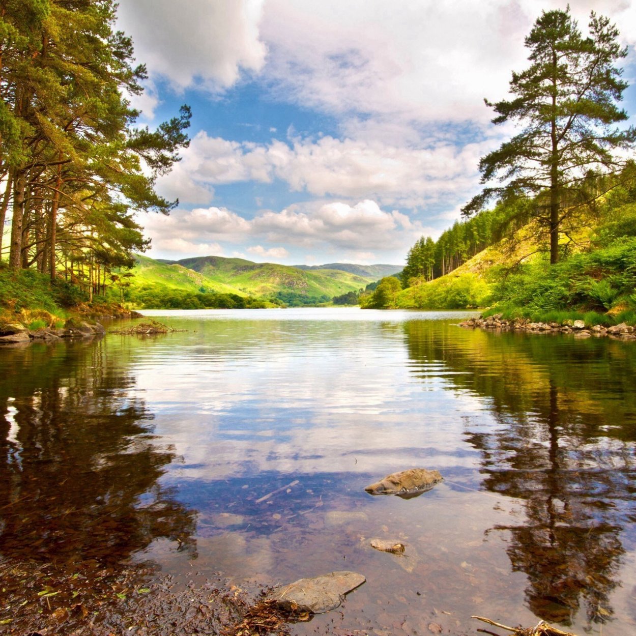 Чистая природа