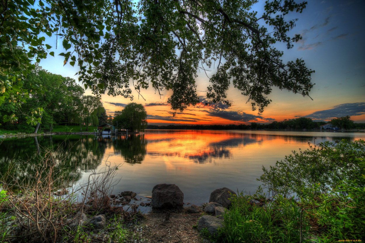 Природа лес озеро лето река цветы