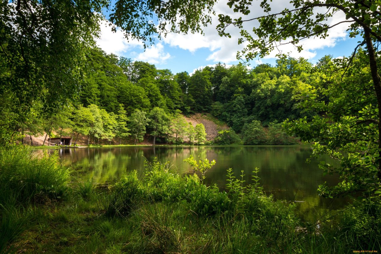 Красивые пейзажи с рекой