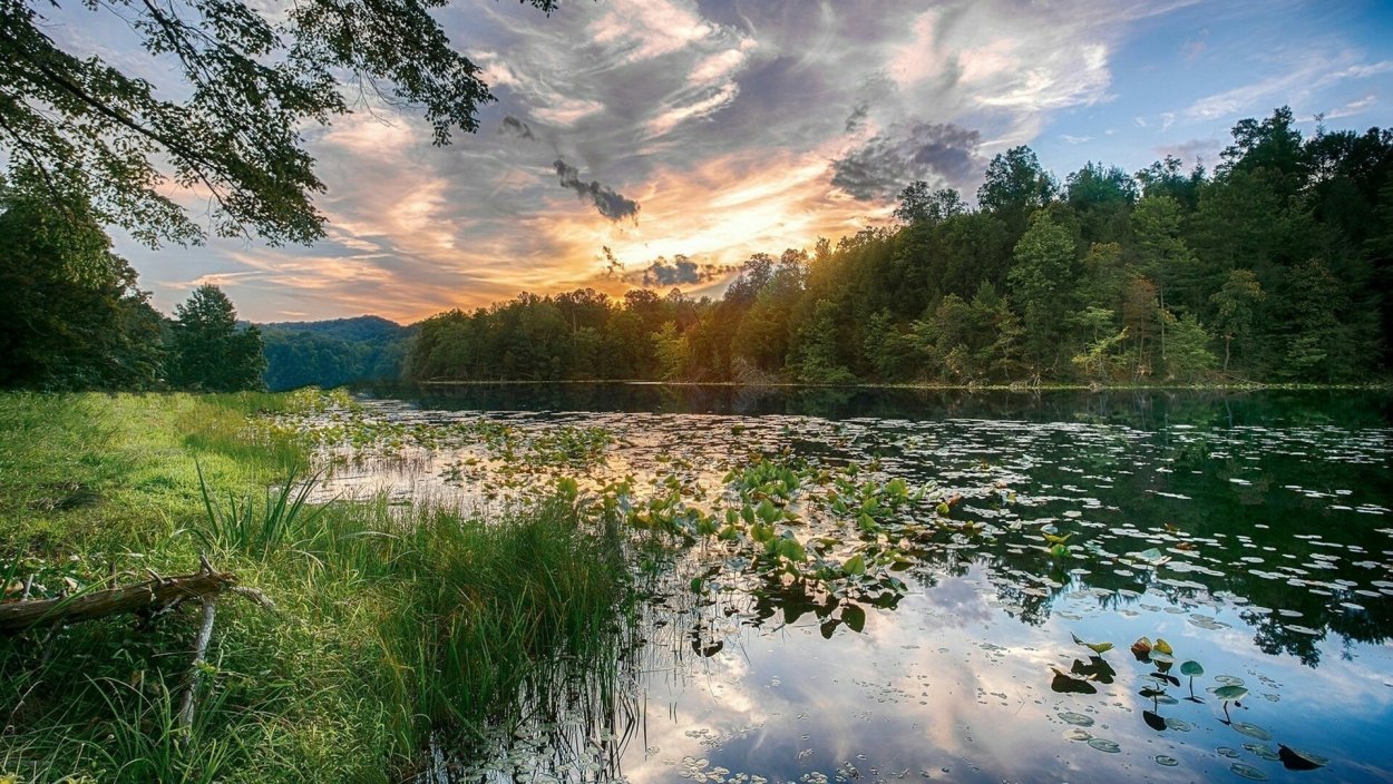 Озерки озера