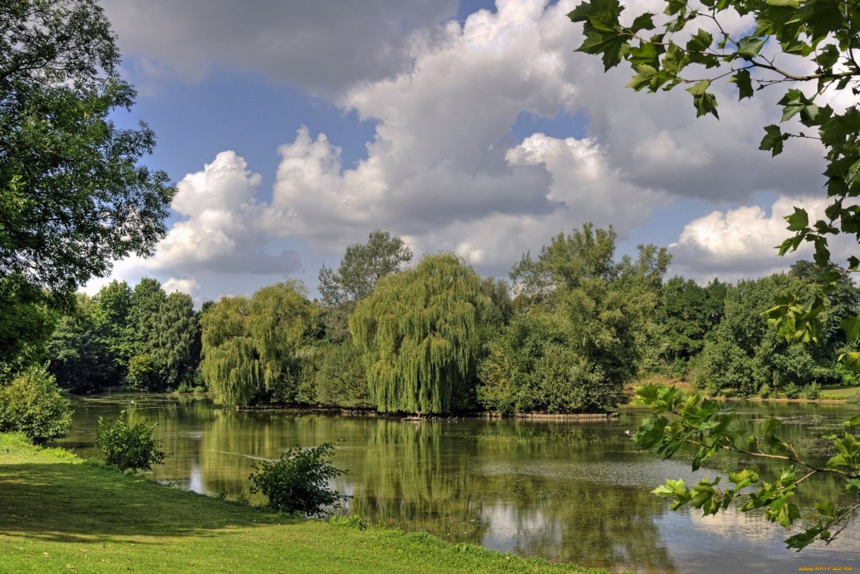 Природа лето река лес озеро