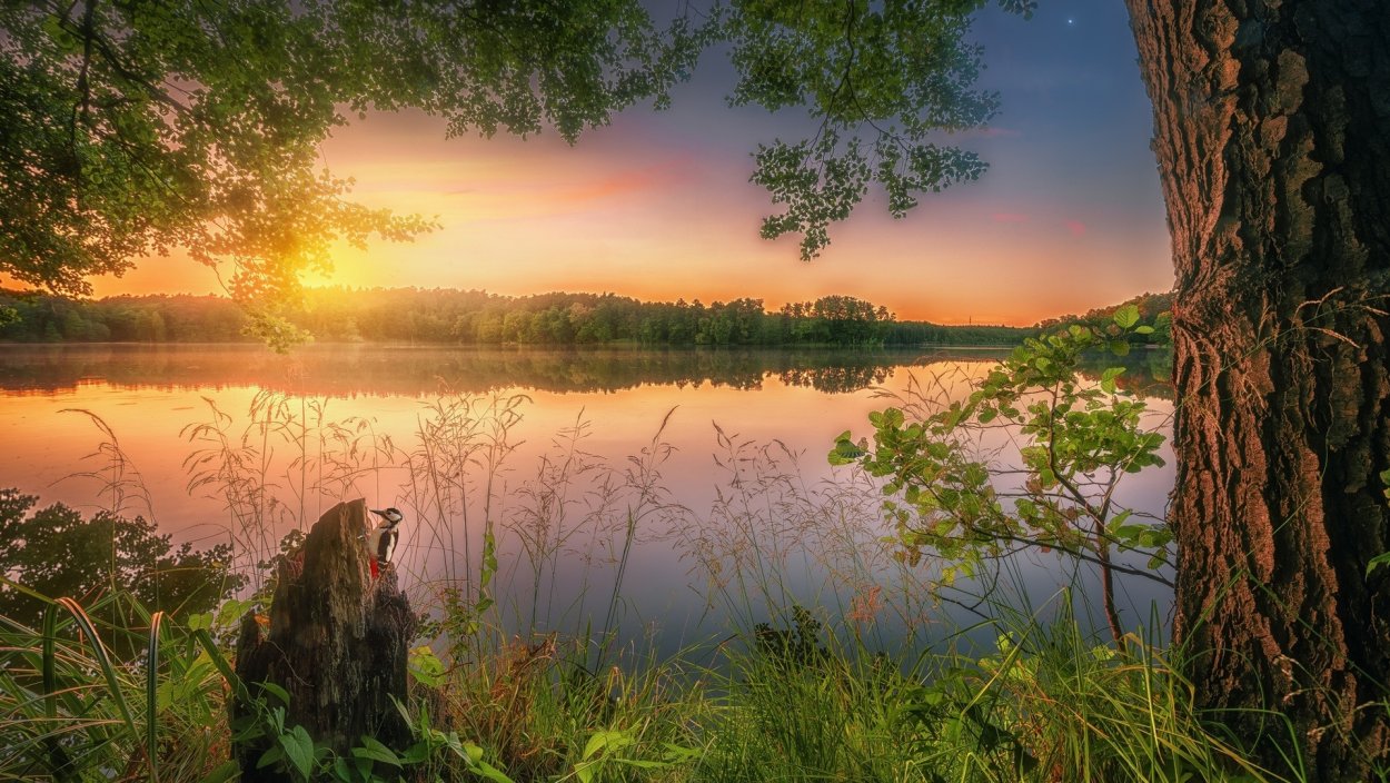 Южный Шварцвальд озеро