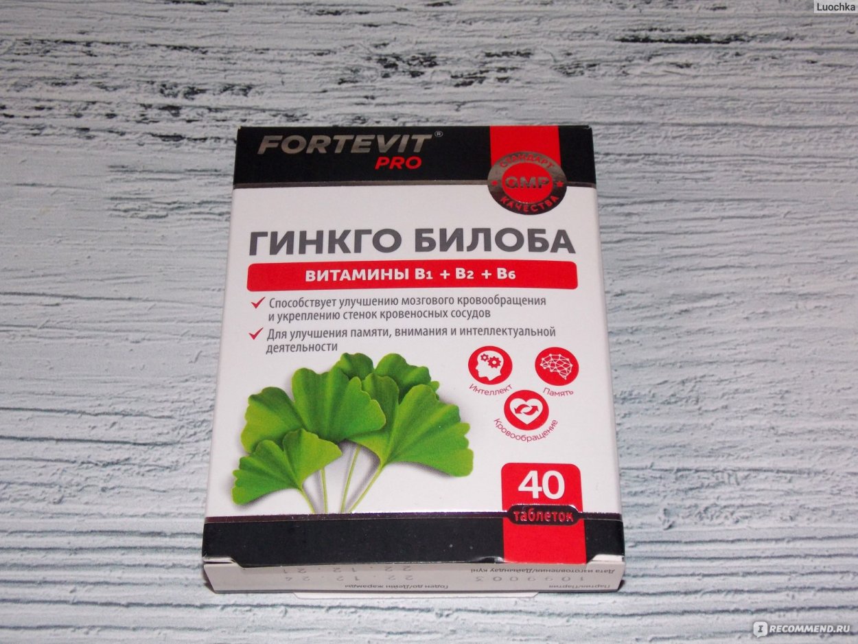 Гинкго кустарник