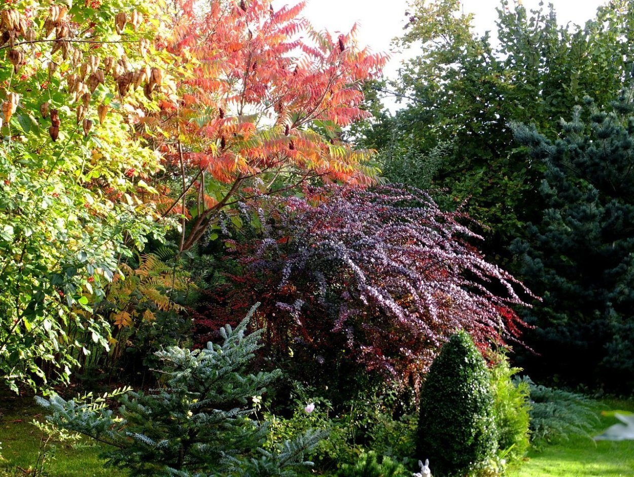 Изгородь с цветами