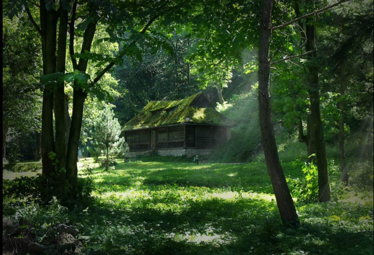 Домик на Поляне