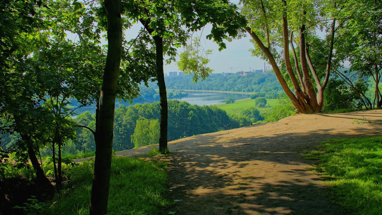 Лесная Поляна Тирасполь