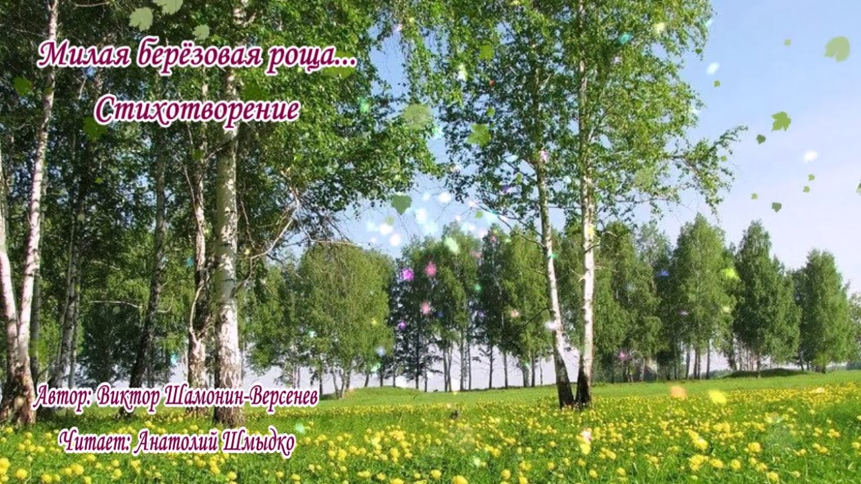 Природа Якутии березы