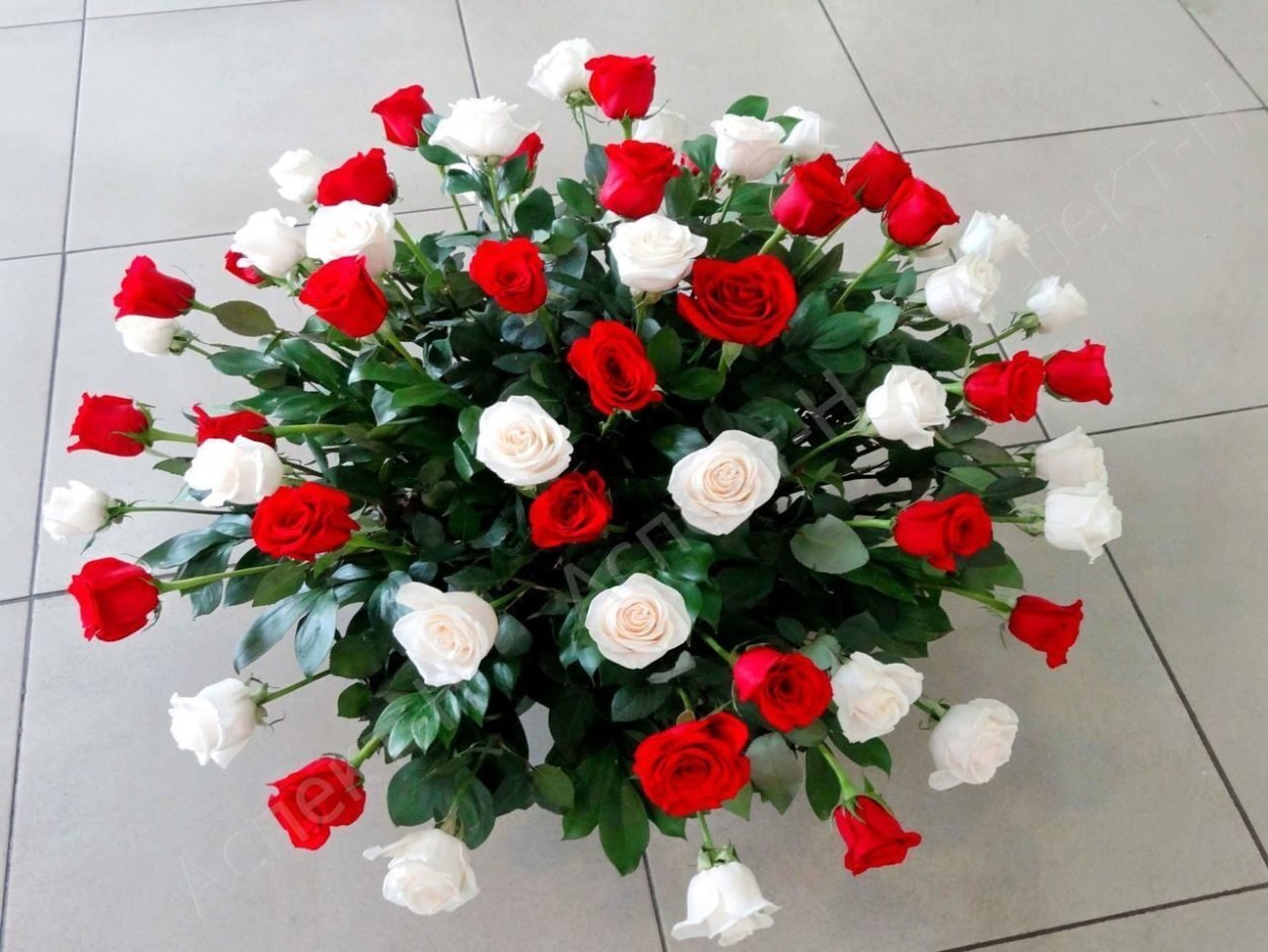 Купить Живые Розы