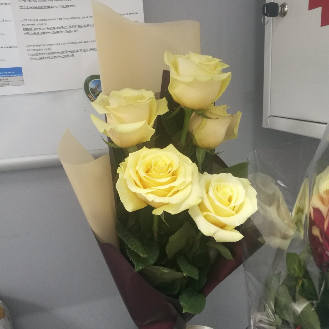 Красивый букет цветов дома