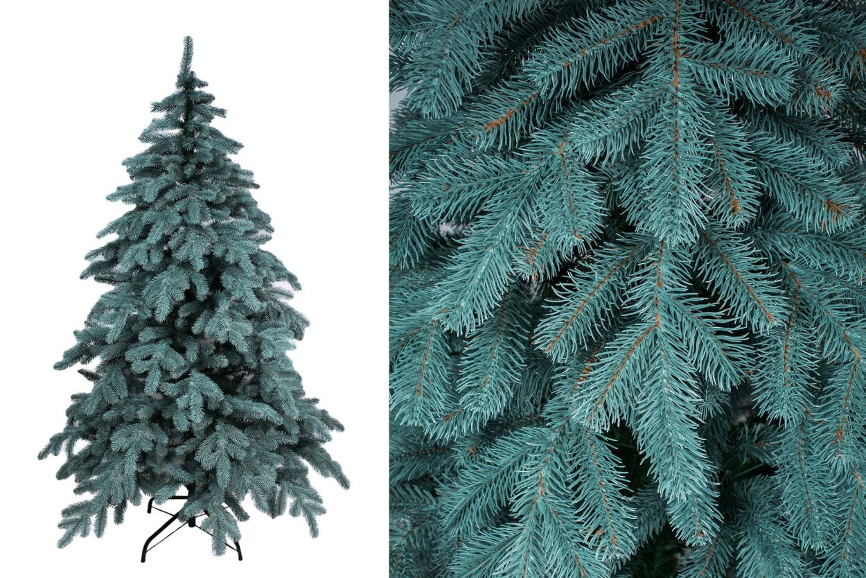 Пихта Сильберлок