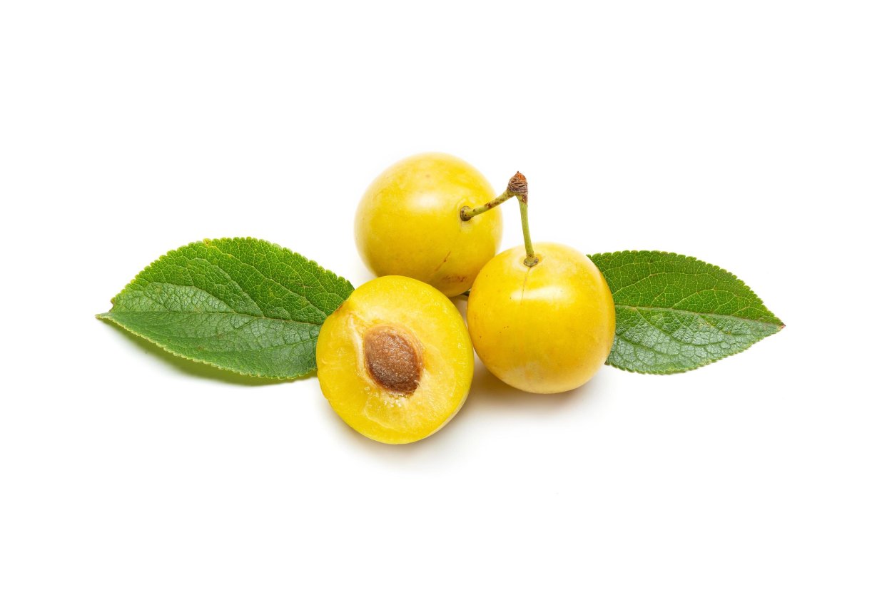 Алыча желтая на белом фоне
