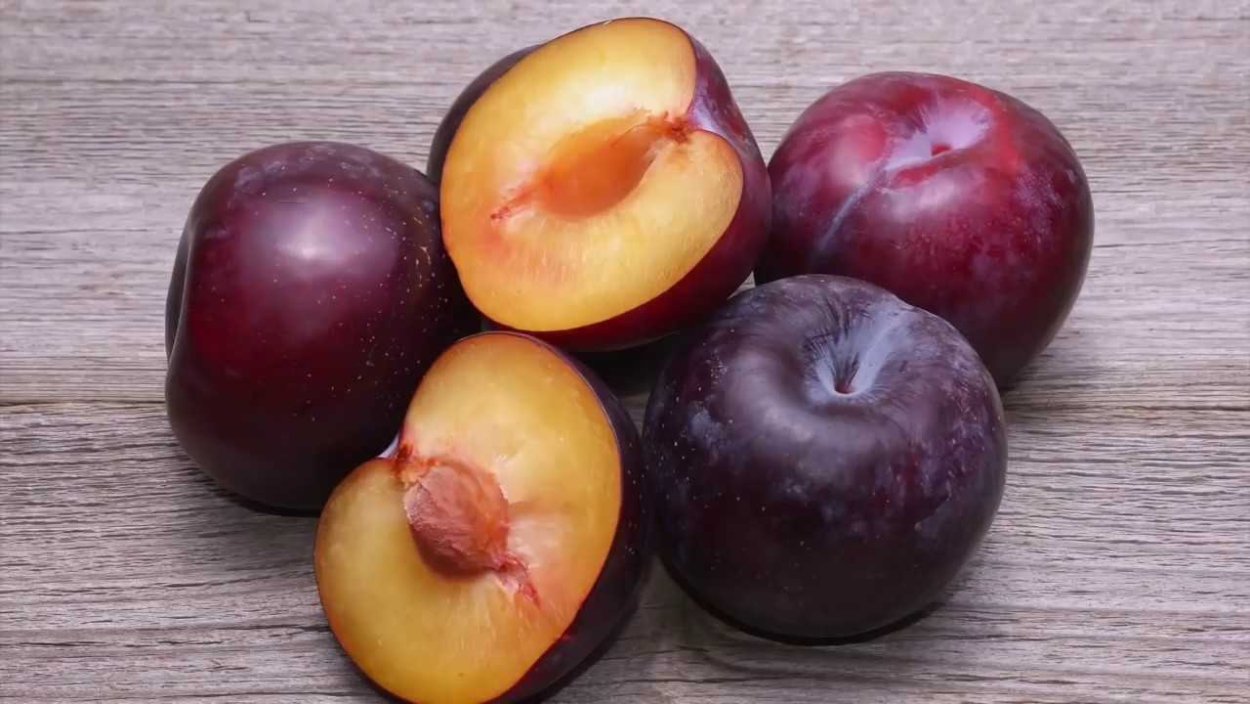 Алыча Кок Султан