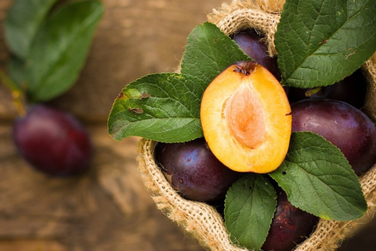 Сочные сливы