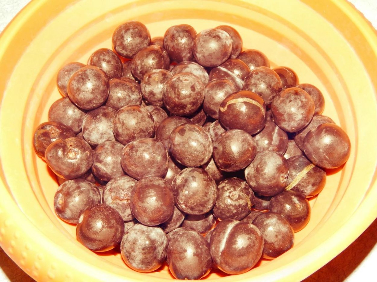 Алыча косточка