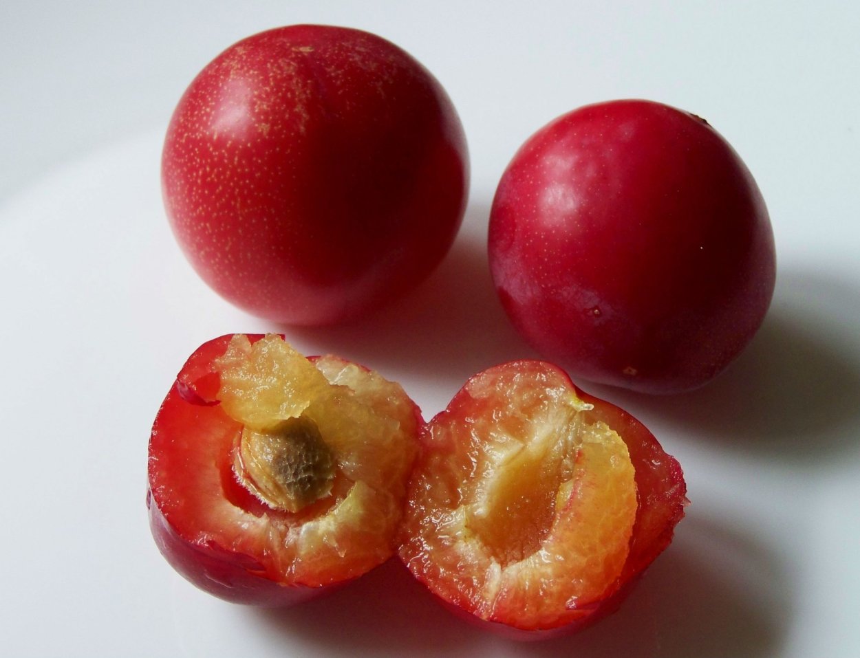 Алыча в разрезе