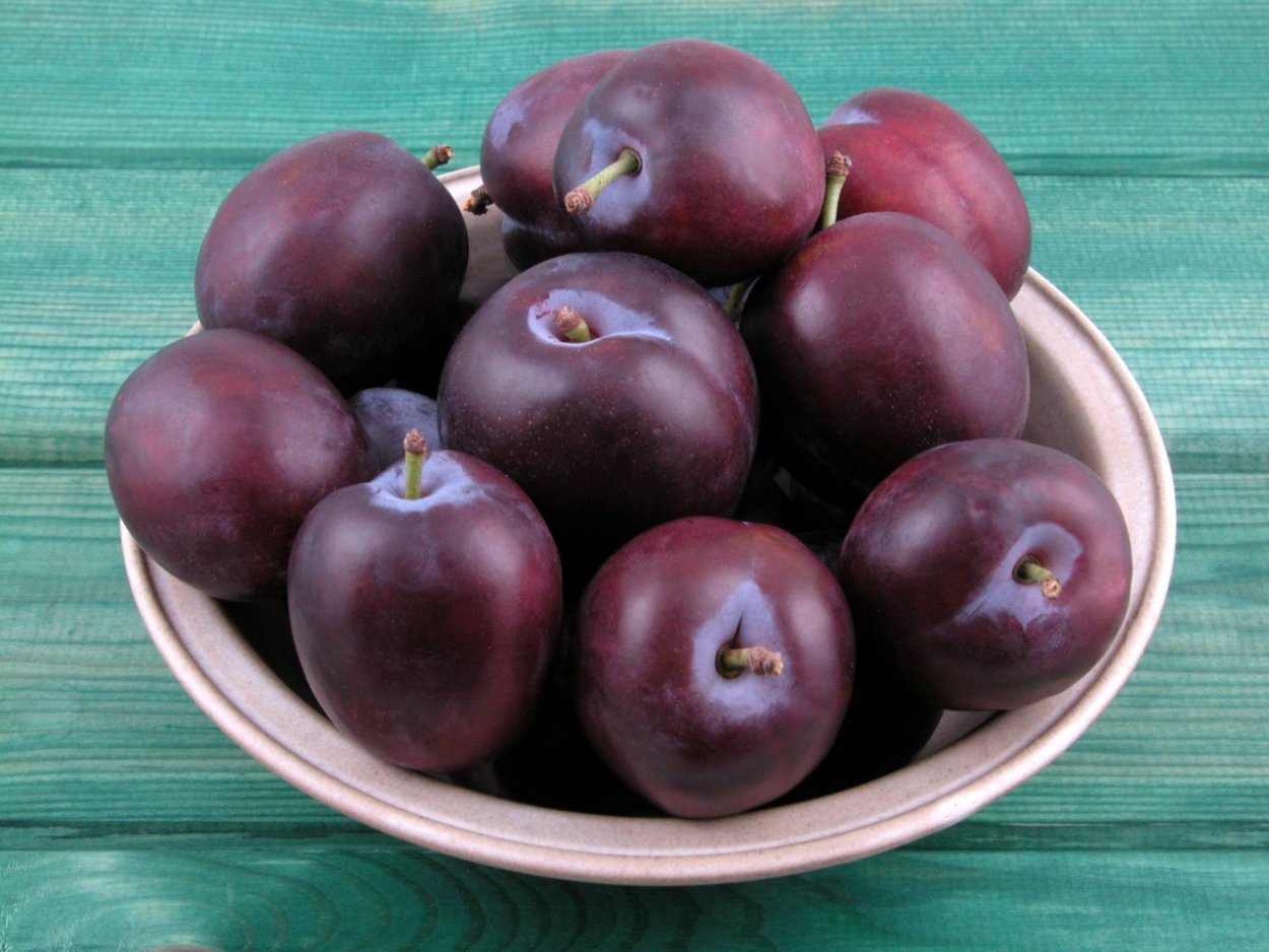 Сливы на белом фоне