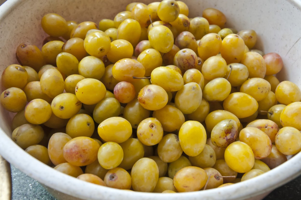 Варенье белая черешня