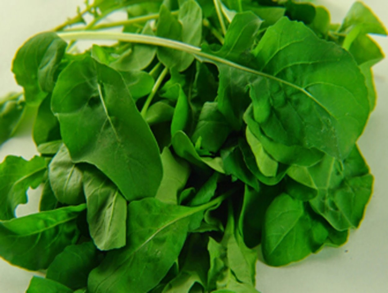 Зелень Кресс салат