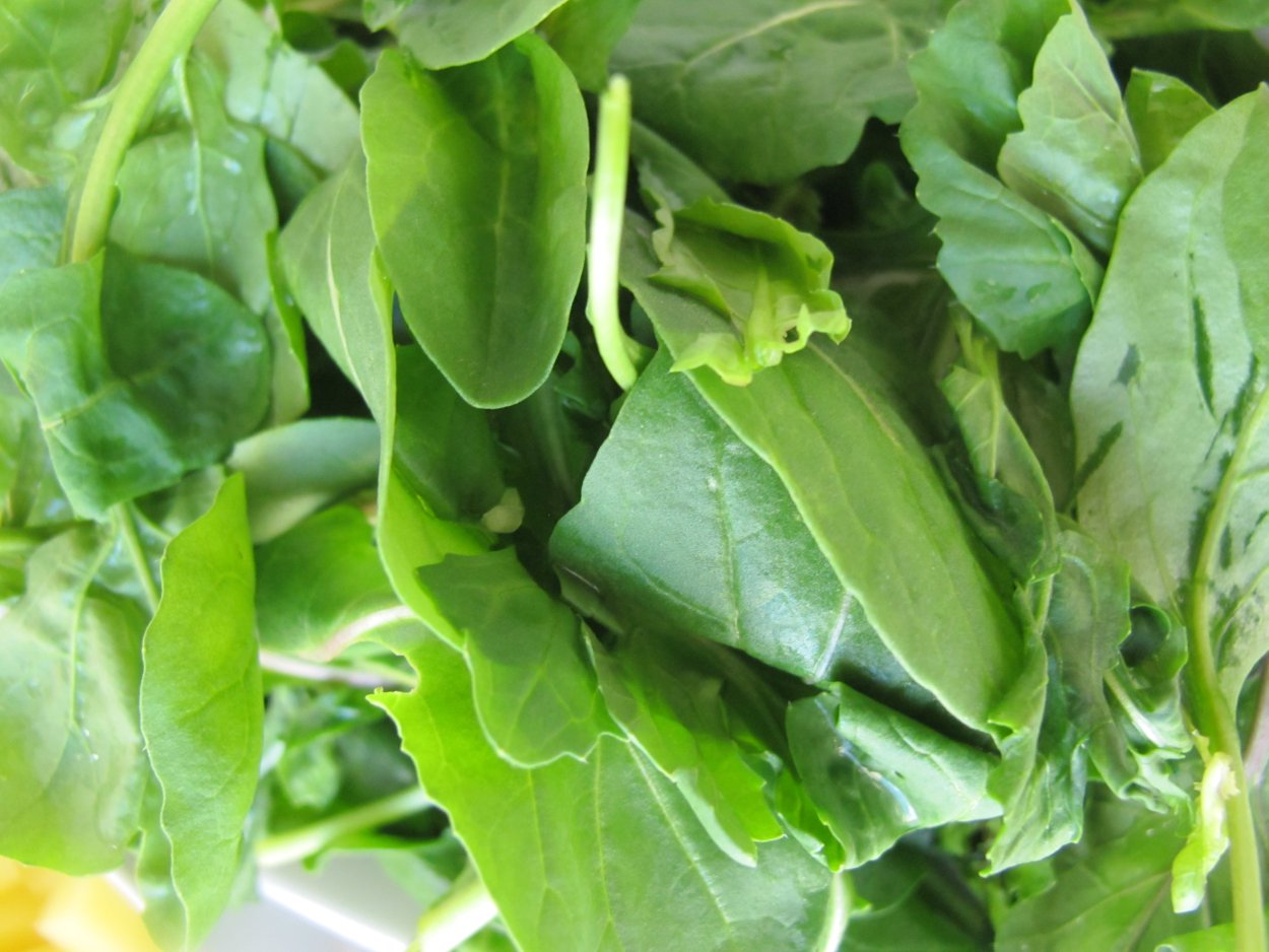 Цицмат зелень