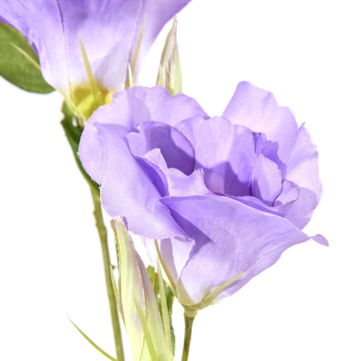 Эустома Эстетика