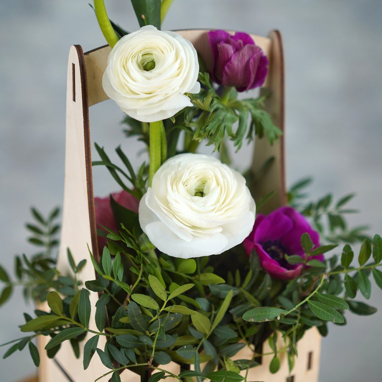 Гвоздика перистая на клумбе