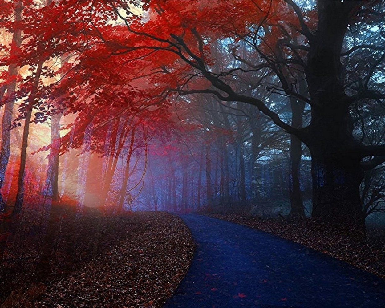 Красный лес обои