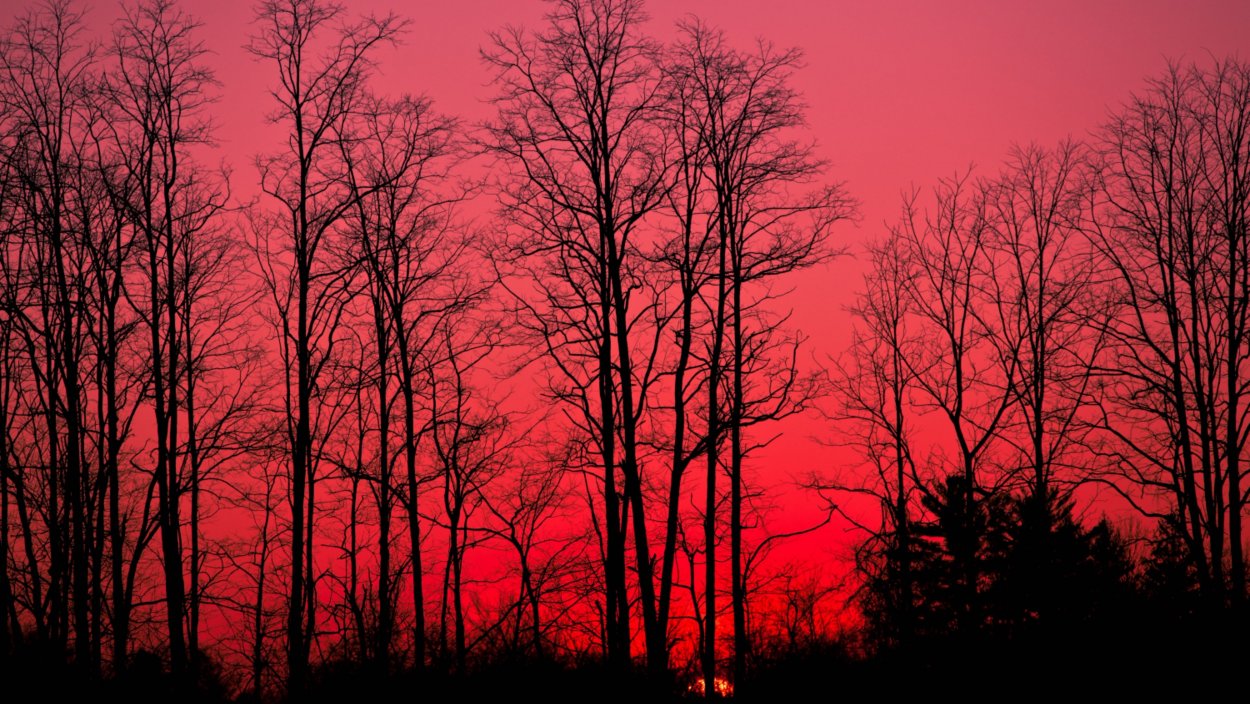 Кровавый пейзаж