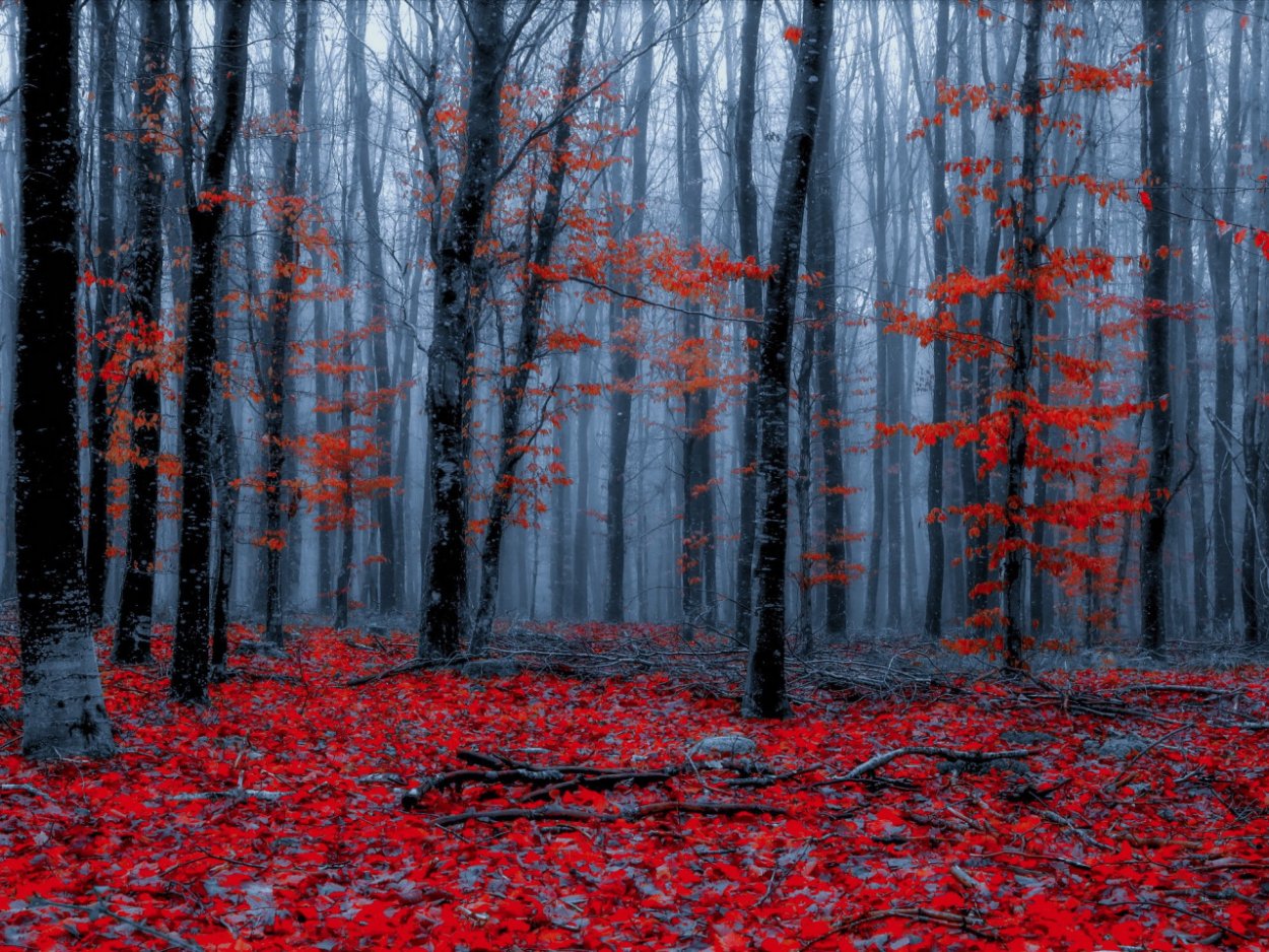 Красный закат