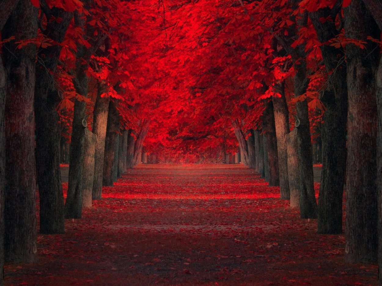 Пейзаж в красных тонах