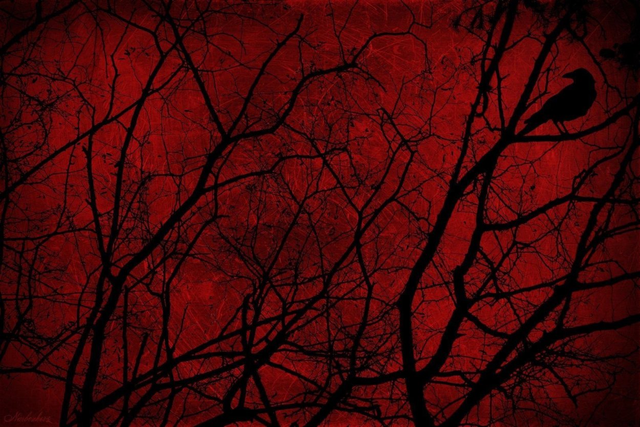 Красный лес