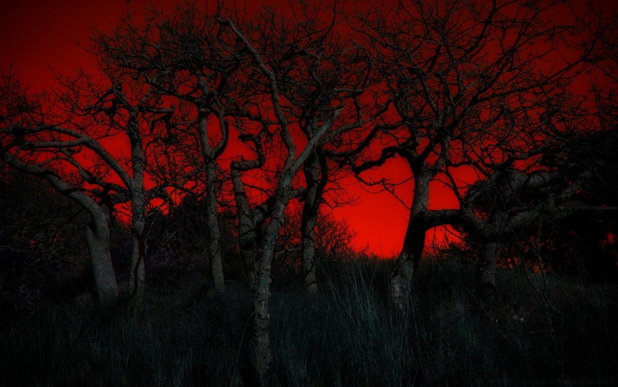 Красный лес