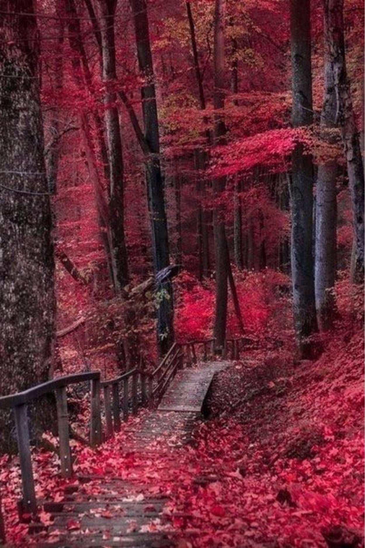 Аниме темный фон