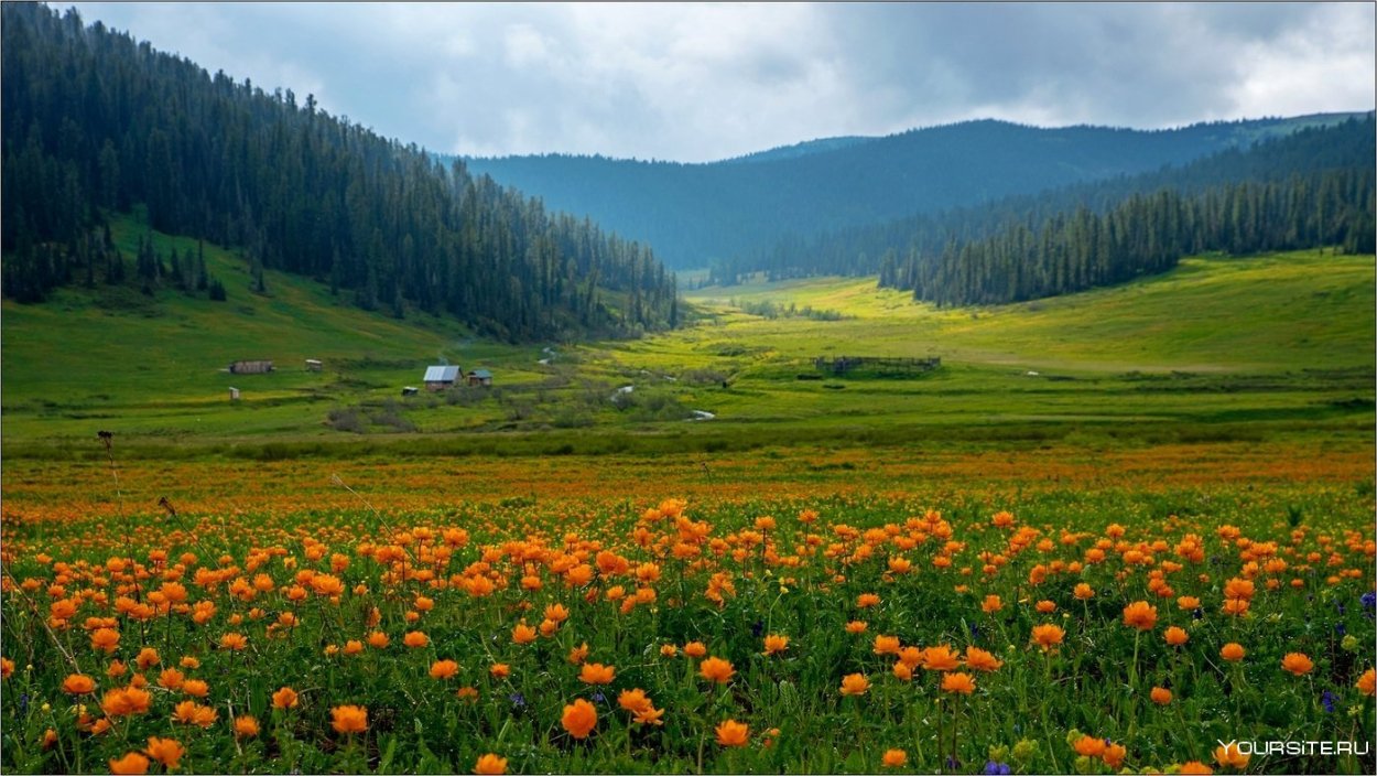 Пикульки Хакасия