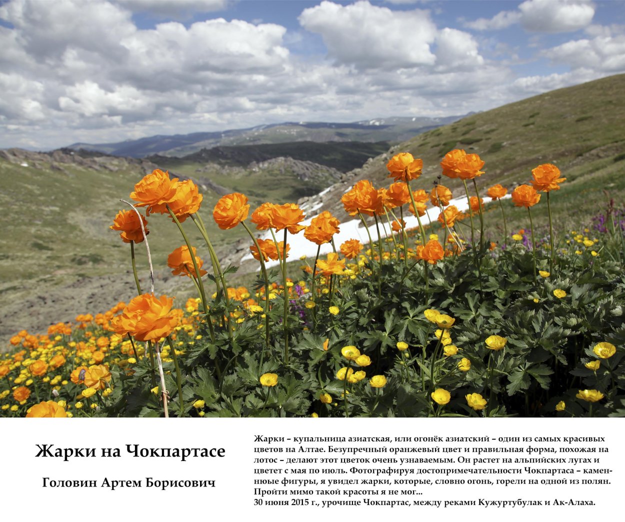 Уйбатская степь